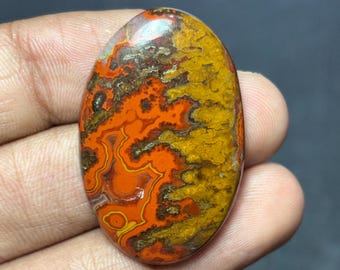 Könnte beinhalten: Ein ovaler Edelstein mit einem lebendigen Muster aus Orange-, Gelb- und Brauntönen. Die polierte Oberfläche zeigt komplizierte Maserungen und Farbvariationen, die ein einzigartiges Design schaffen. Der Edelstein wird in einer Hand gehalten.