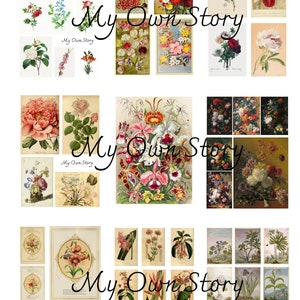 DIGITAL ephemera all vintage flowers victorian botanical 100 images paintings of flowers