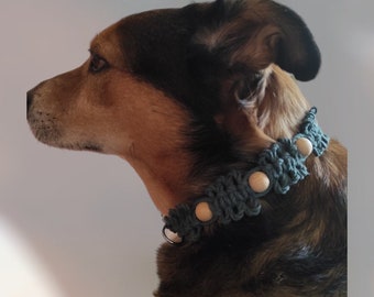 Halsband für grosse Hunde