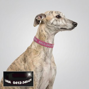 カスタム反射犬用首輪 | PUレザー製、金属不使用、軽量ペットID