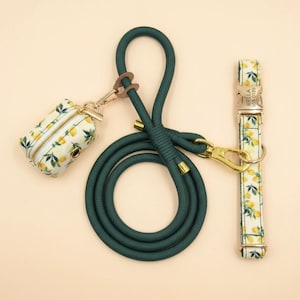 Op de afbeelding: Een donkergroene touwlijn met goudkleurige hardware, een bijpassende poepzakjeshouder met citroenpatroon en een bijbehorende halsband met citroenpatroon voorzien van een goudkleurige gesp met de tekst BELLA 555-0189 voor identificatie.