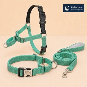 May include: A teal dog harness, collar, and leash set. The harness and collar have black accents and metal hardware. The collar has a name tag with the name "BRUCE" and a phone number. The leash is rolled up. The set is reflective for night walks.