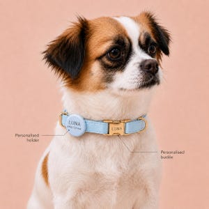 May include: A light blue dog collar featuring a gold-toned metal buckle engraved with the name LUNA and a circular light blue holder displaying the text LUNA and the number 0400 123 456, with labels pointing to the personalised holder and buckle.
