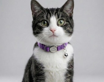 Personalized Cat Collar with Bell | Breakaway Safety Nylon ID Tag