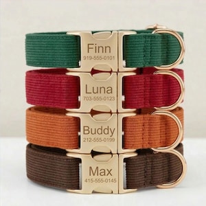 May include: Four personalised dog collars in green, red, orange, and brown. Each collar features a gold-coloured buckle engraved with a name and phone number. The collars are stacked, displaying the different colour options.