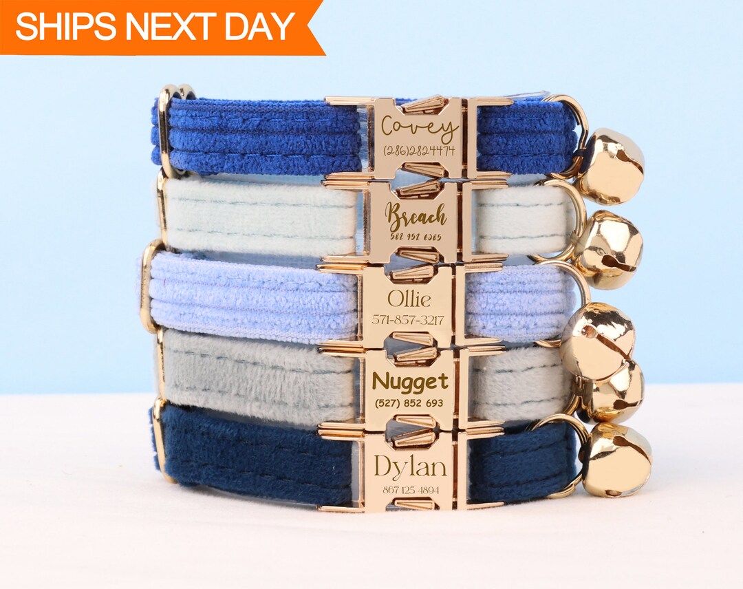 Custom Engraved Cat Collar Name Tags Personalized Kitten Etsy