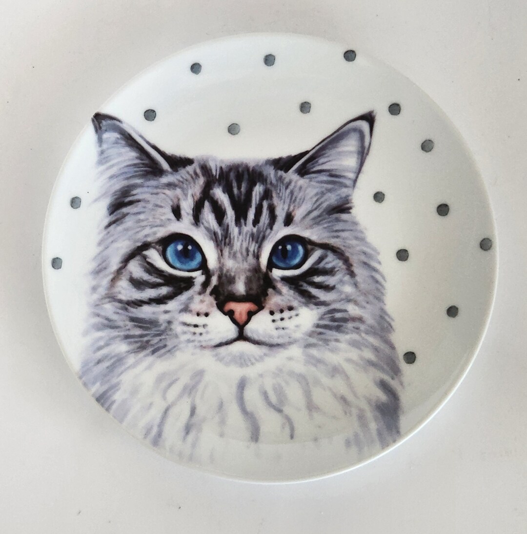 Pets at Home Cat Plates Porcelain Microwave & Dishwasher Safe Etsy