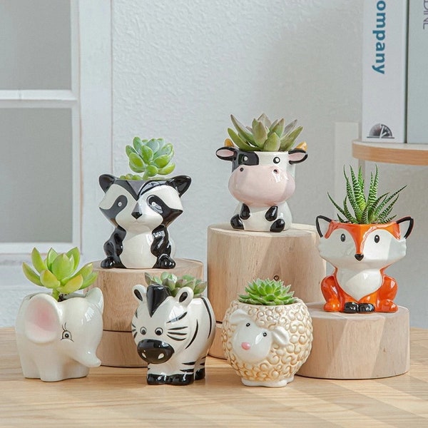 Cute Animal Succulent Planter Indoor Plant Pot Office Desk Decor