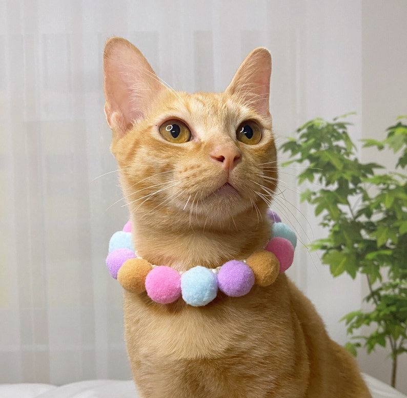 Pom Pom Adjustable Pet Collar Dog and Cat Pompom Necklace Pet ...