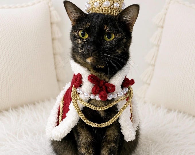 Royal Prince Nobility Clothes For Cats, Prince Crown For Cats, Handmade Pet Clothes, Royal Costume For Cats, Pet Accessories, Halloween Gift