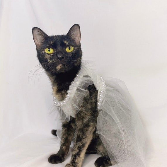 Statuine di gatti super carine, gatti per matrimoni, decorazioni per torte nuziali, amanti dei gatti, con scatola regalo - Italia