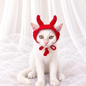 May include: A bright red crocheted pet hat featuring two upright devil horns on top and a chin strap with a bow tie detail. The hat is designed to fit snugly around the head, leaving the ears exposed, and is crafted from textured yarn.