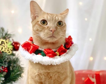 May include: A ginger cat wearing a red and white Christmas collar with a bell. The collar has a green and white trim. The cat is sitting in front of a white background with Christmas lights.