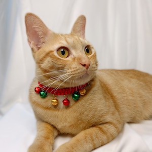 Cat collar no bell hot sale