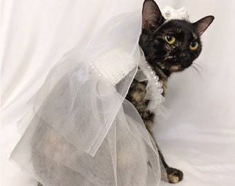 Può includere: Un gatto nero e marrone con un velo di pizzo bianco e una collana di perle. Il gatto è vestito per un matrimonio o un'altra occasione speciale.