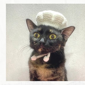 May include: A black and brown tabby cat wearing a white crocheted chef's hat. The cat is looking at the camera with a surprised expression.