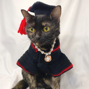 Graduation costume with hat and gown for cats, Gift for cat lover