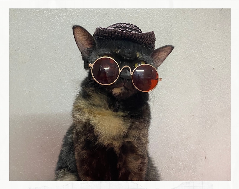 Crochet Pattern Cowboy Hat for Cats PDF Instructions for Cat Etsy