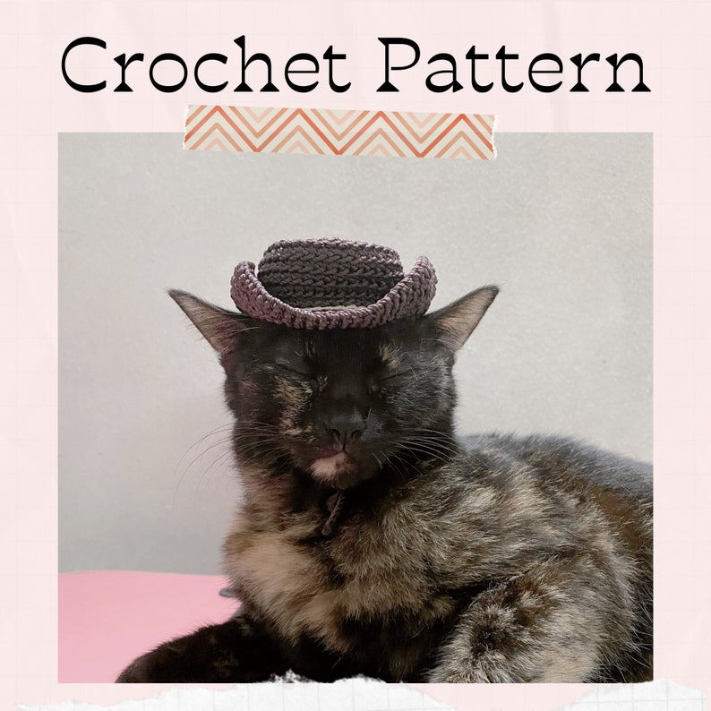 Crochet Pattern Cowboy Hat for Cats PDF Instructions for Cat Etsy