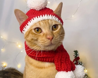 Puede incluir: Un gato jengibre con un gorro de Navidad rojo y blanco tejido con un pompón blanco y una bufanda roja a juego con pompones blancos. El gato está mirando a la cámara.