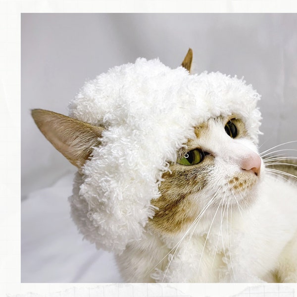 Crochet Pattern: Bucket hat for cats, PDF instructions for cat winter costume with chin straps / ear holes, crochet idea of cats