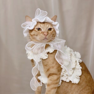 キャットレディのリボンコスチューム、猫用ボンネット、ペット用プリンセスドレス、手作りペット服、ペットアクセサリー、ハロウィンギフト、誕生日プレゼント