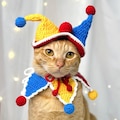 Clown costume for your pet set hat and scarf, Pet Halloween Costume, Cute and Funny Pet Dress-Up Outfit, Jester Cat product logo