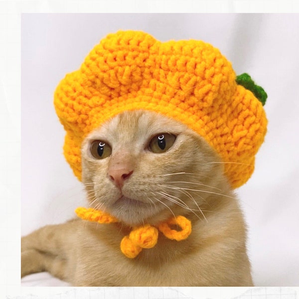 Adorable Crochet Pattern Pumpkin Hat for Cats - Perfect for Halloween and Thanksgiving