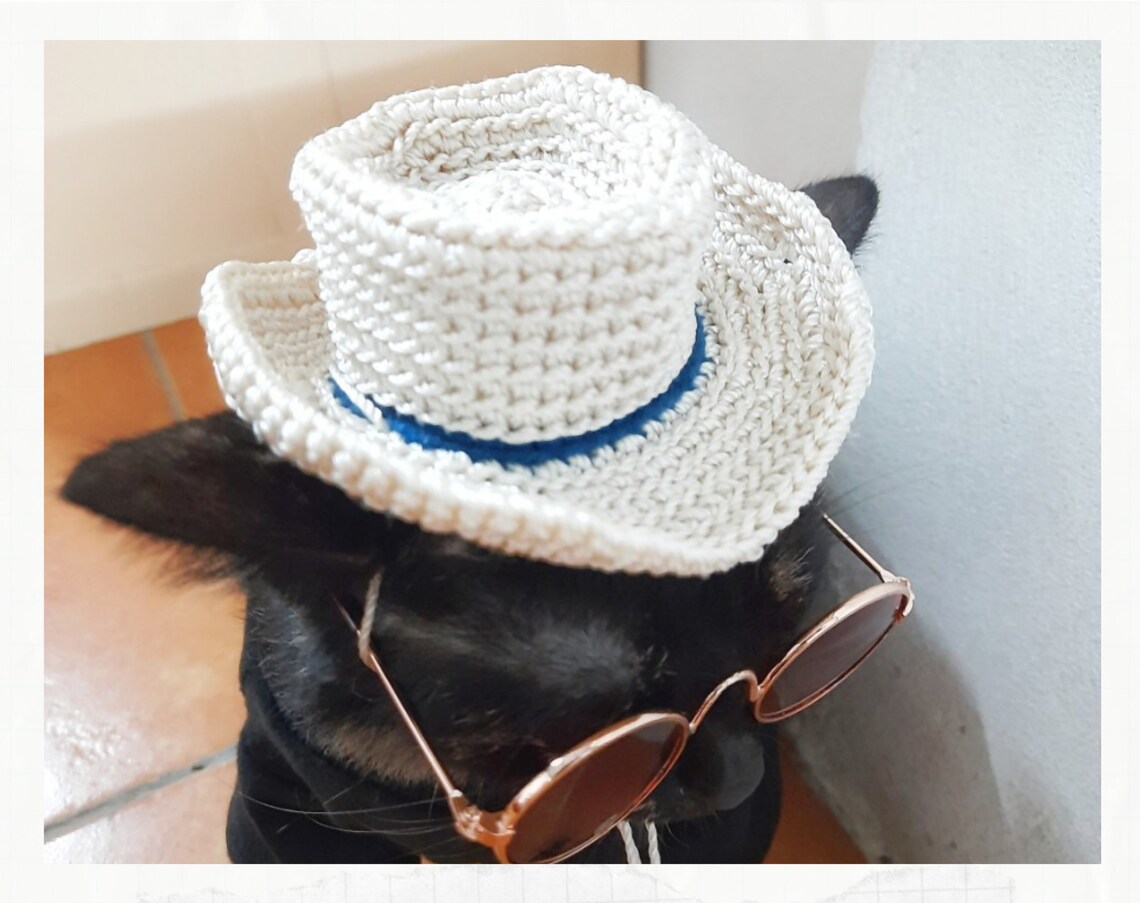 Crochet Pattern Cowboy Hat for Cats PDF Instructions for Cat Etsy