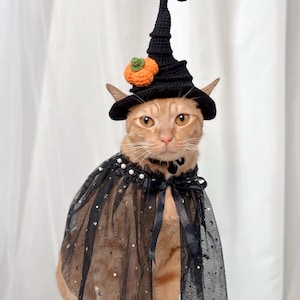 Op de afbeelding: Een rode kat met een zwarte heksenhoed met een oranje pompoenaccent en een zwarte cape met ster- en maandetails. De cape is afgezet met witte parels en een zwarte strik. De kat kijkt recht in de camera.