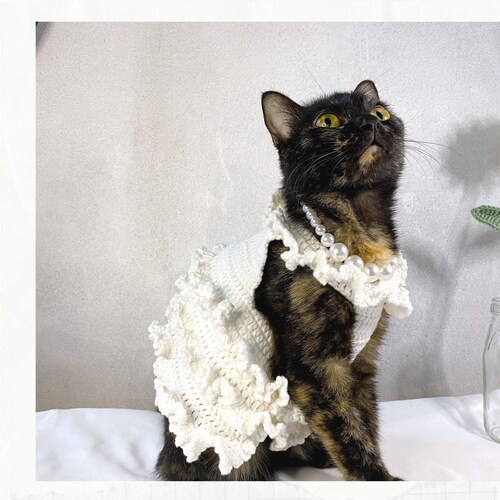 cat dress crochet Crochet Cat Sweater Pattern | DIY Pet Jumper (english)