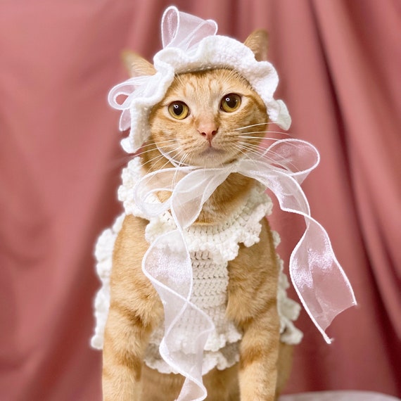 ladies cat fancy dress Spirit Halloween - Cat Lady Costume