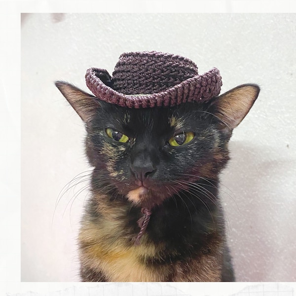 Crochet Pattern: Cowboy hat for cats, PDF instructions for cat cowboy hat costume with chin straps / ear holes, crochet fedro idea of cats