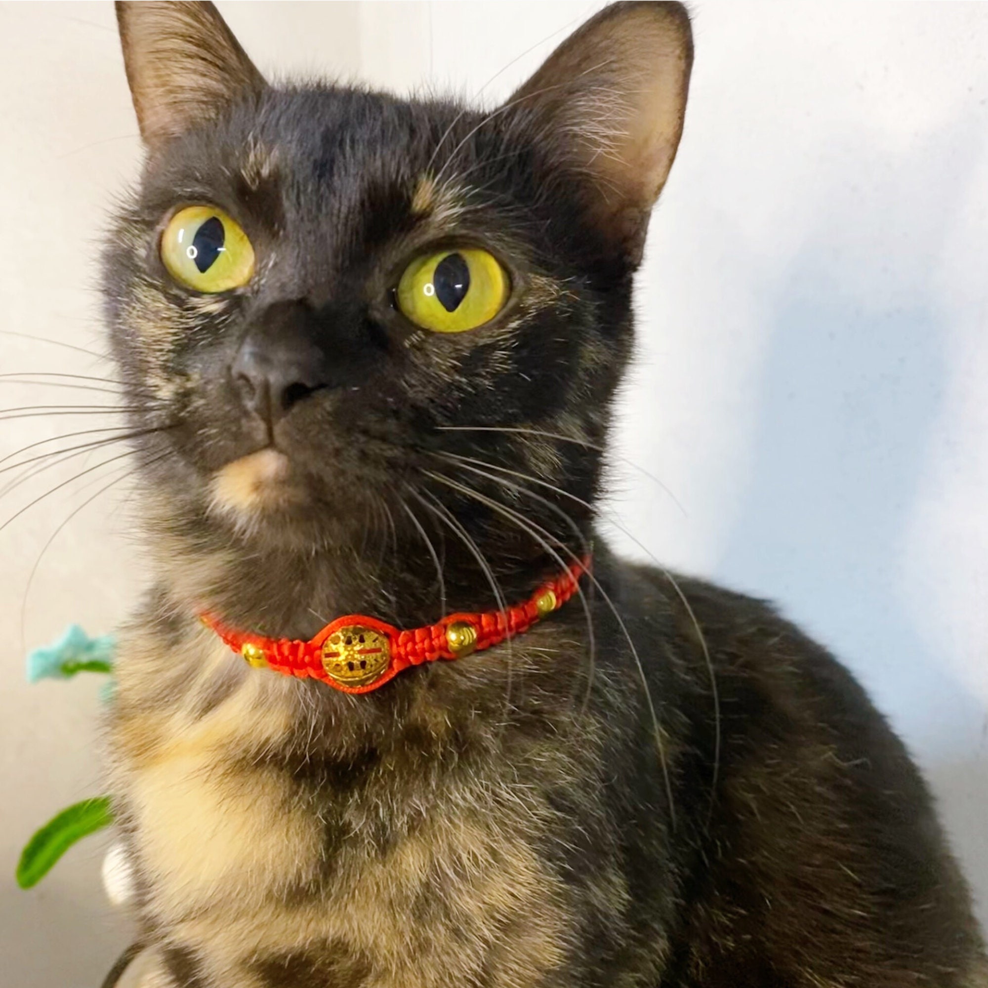 Colorful Bell Cat Collar and Lucky Cat Collar Jingle Bell for Etsy