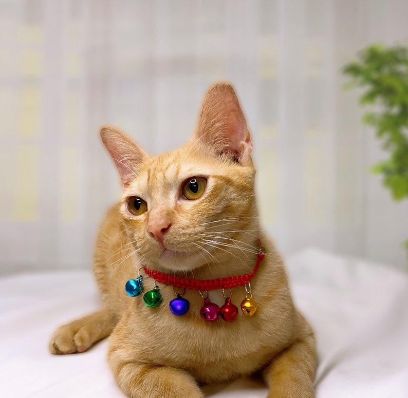 Colorful Bell Cat Collar and Lucky Cat Collar, Jingle Bell for Cat