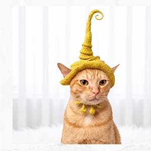 Crochet Pattern: Witch Hat for cats, PDF instructions for cat witch hat costume, adorable Halloween Costume for Your Furry Friend