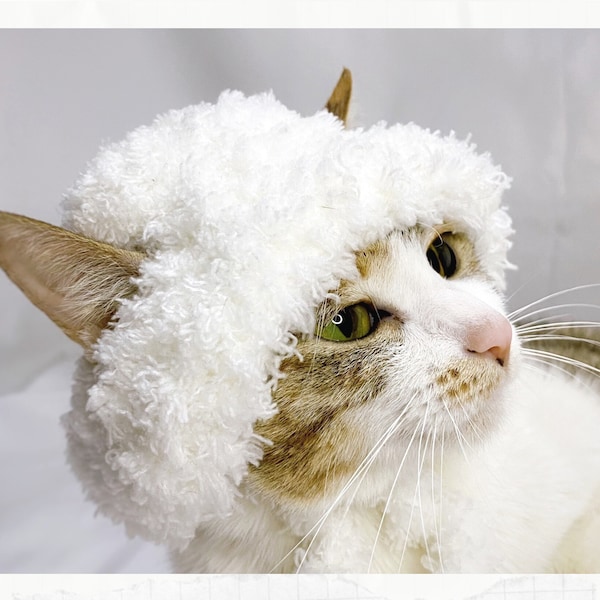 Cat Ears Bucket Hat Etsy