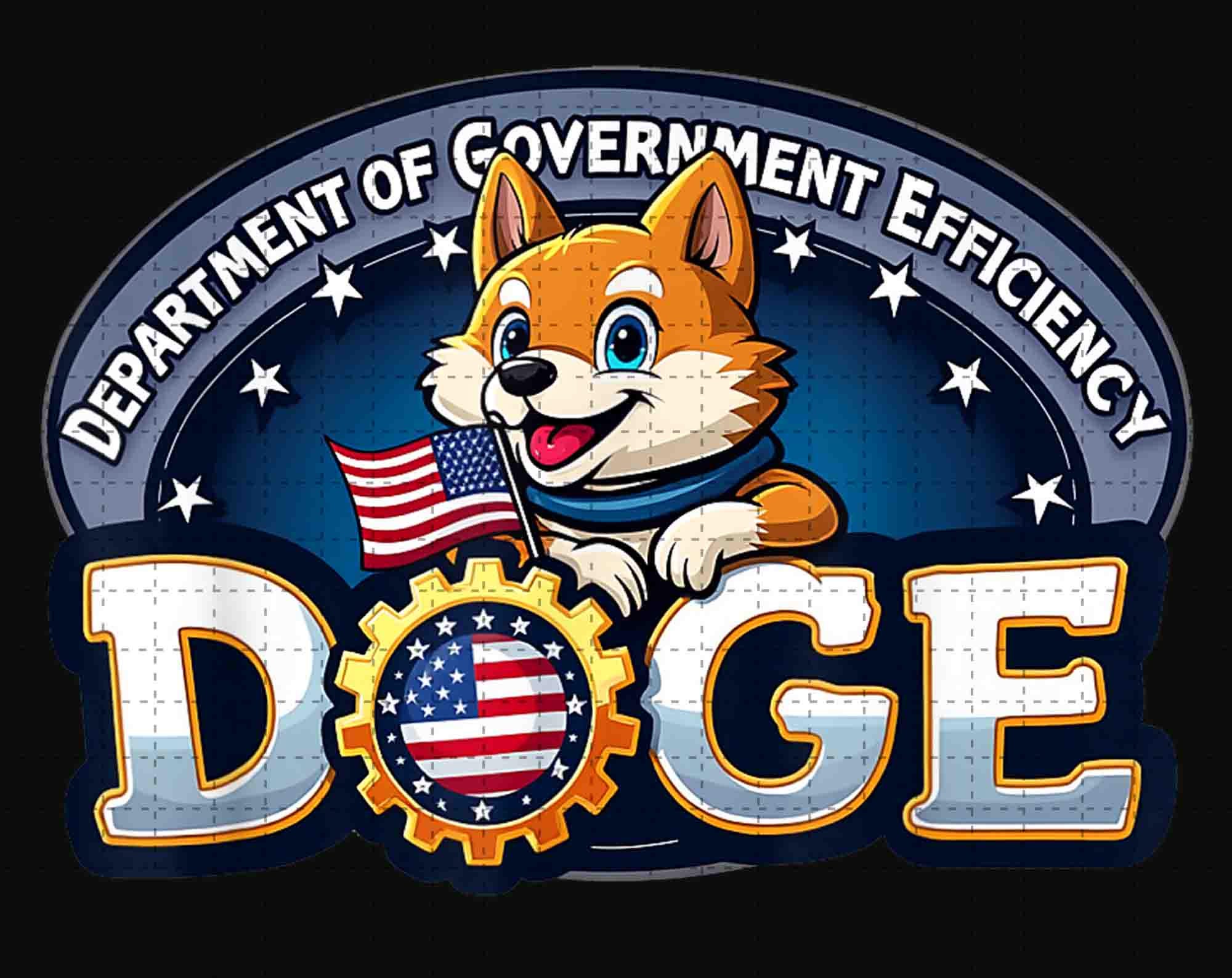 Department of Government Efficiency - Etsy