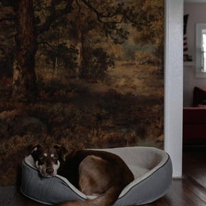 Dark forest peel and stick, Removable wallpaper, Self adhesive, Accent wall, Oil Painting, Renter friendly 18