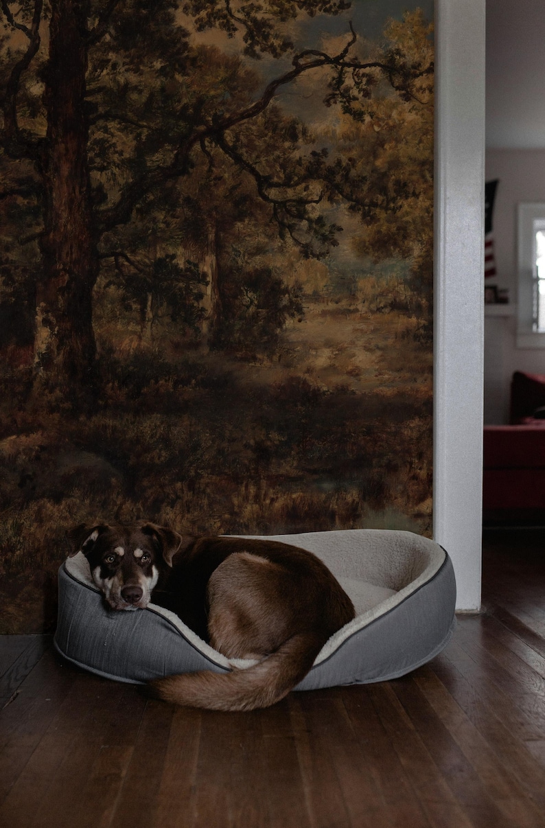 Dark forest peel and stick, Removable wallpaper, Self adhesive, Accent wall, Oil Painting, Renter friendly 18 image 1