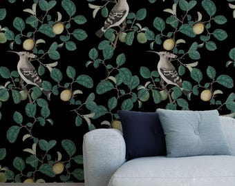 Dark Botanical Wallpaper, Hoopoe Bird & Lemon Pattern, Black Background Mural, Eclectic Vintage Nature Art, Peel and Stick Wall Decor 275