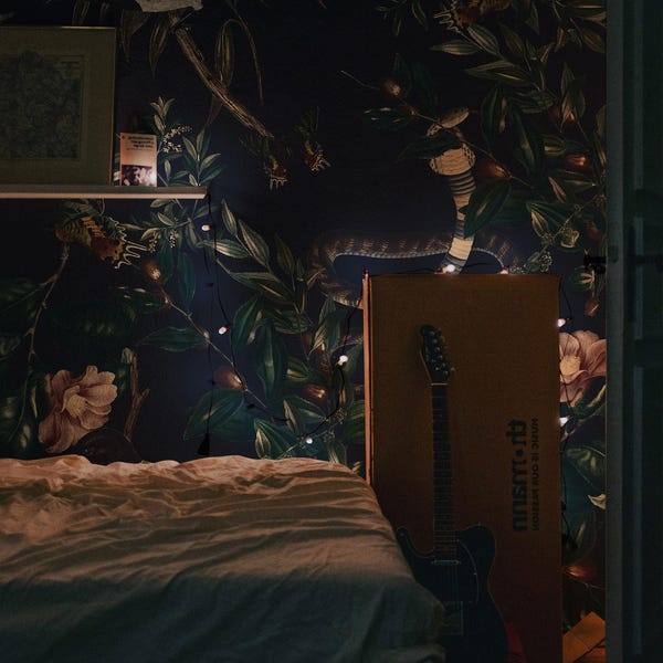 Dark academia wallpaper, Vintage, Night wall decor, Witchy, Snake, Dark wall art, Peel and stick, Botanical, Floral 70