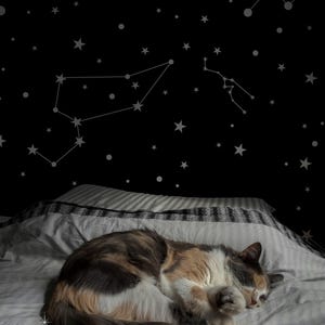 Constellation wallpaper, Starry night mural, Dark wallpaper, Peel and stick, Galaxy theme decor, Children&#39;s room wall art 133
