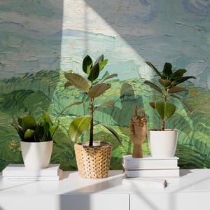 Puede incluir: Tres plantas en macetas con hojas verdes, una escultura de mano dorada y una pila de libros en un estante blanco contra una pared pintada de verde y azul.