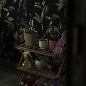 Moody botanical wallpaper, Dark academia decor, Enchanted garden wall mural, Removable wallpaper, Peel and stick 36
