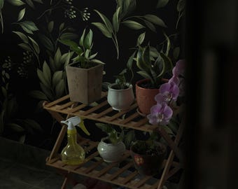 Moody Botanical Wallpaper, Dark Academia Wall Mural, Peel and Stick 36