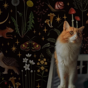 Enchanted forest removable wallpaper, Christmas gifts, Dark wall art, Selfadhesive, Peel and stick, Nursery, Woodland mural 02