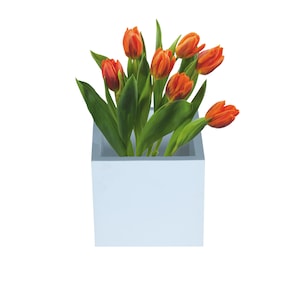 Op de afbeelding: Een boeket oranje tulpen in een lichtblauwe vierkante vaas.