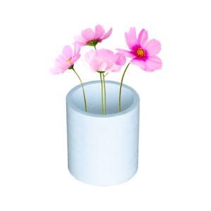 May include: A light blue cylindrical vase with four pink cosmos flowers.