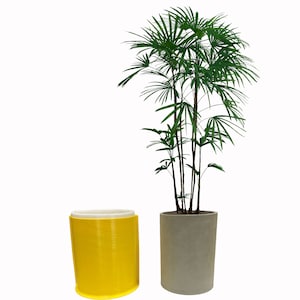 May include: A yellow planter with a white inner rim and a gray planter with a green potted plant. The plant has multiple stems and green leaves.